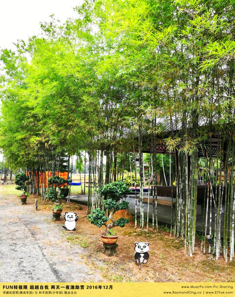 batu-pahat-gereja-joy-soga-%e5%b3%87%e6%a0%aa%e5%90%a7%e8%be%96-%e8%8b%8f%e9%9b%85%e5%96%9c%e4%b9%90%e5%a0%82-%e5%8f%b8%e6%8f%90%e5%8f%8d%e5%9b%a2%e5%a5%91-%e5%8f%8a-%e5%92%8c%e5%b9%b3%e5%9b%a2