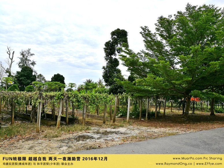 batu-pahat-gereja-joy-soga-%e5%b3%87%e6%a0%aa%e5%90%a7%e8%be%96-%e8%8b%8f%e9%9b%85%e5%96%9c%e4%b9%90%e5%a0%82-%e5%8f%b8%e6%8f%90%e5%8f%8d%e5%9b%a2%e5%a5%91-%e5%8f%8a-%e5%92%8c%e5%b9%b3%e5%9b%a2