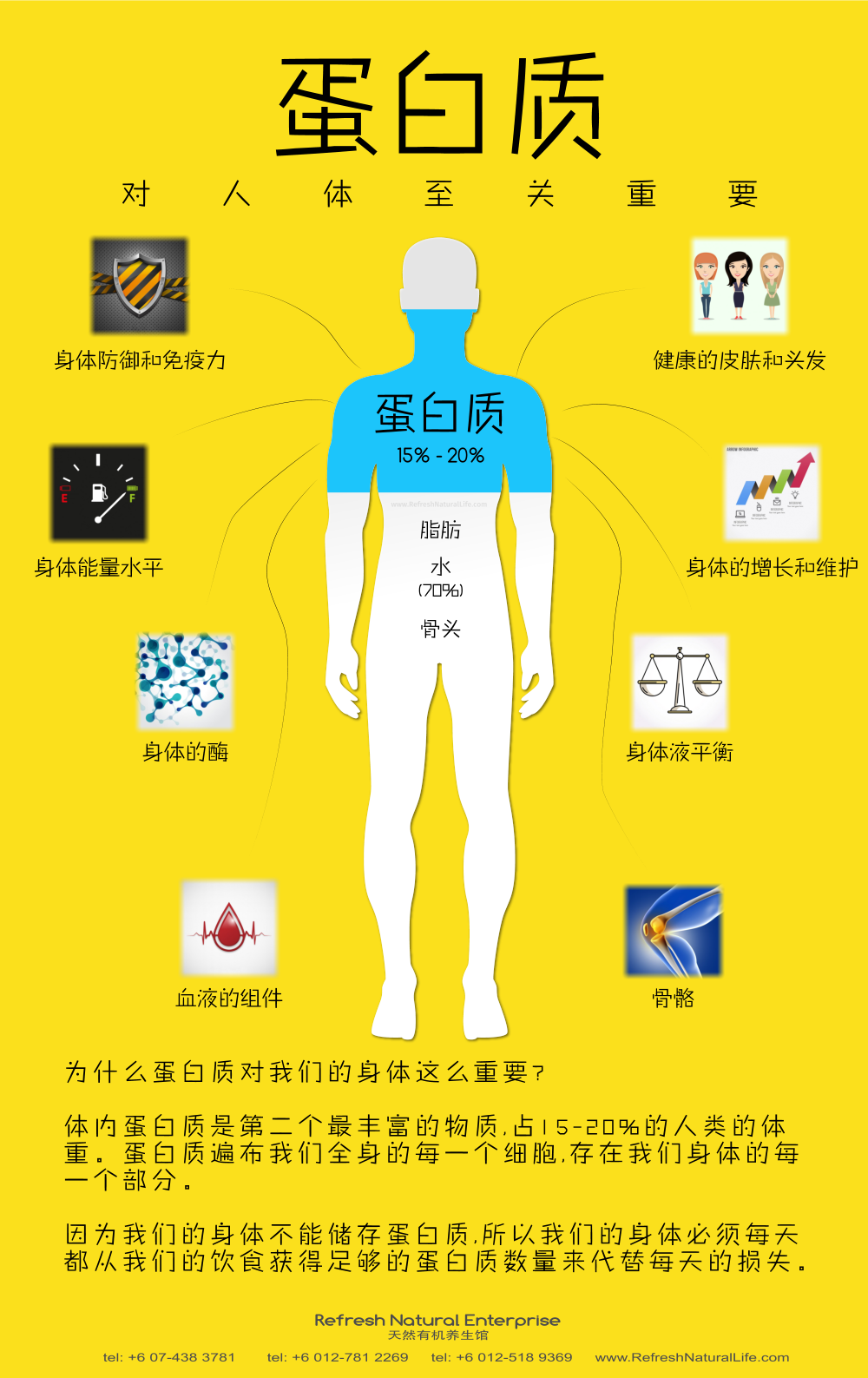 about-protein-johor-batu-pahat-organic-products-organice-cafe-food-meal-lunch-dinner-refresh-natural-%e5%85%b3%e4%ba%8e%e8%9b%8b%e7%99%bd%e8%b4%a8-%e6%9f%94%e4%bd%9b-%e5%b3%87%e6%a0%aa%e5%b7%b4