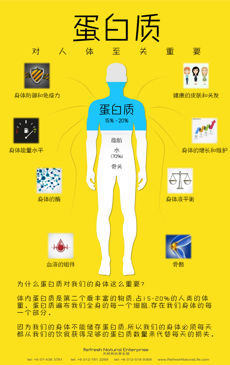 about-protein-johor-batu-pahat-organic-products-organice-cafe-food-meal-lunch-dinner-refresh-natural-%e5%85%b3%e4%ba%8e%e8%9b%8b%e7%99%bd%e8%b4%a8-%e6%9f%94%e4%bd%9b-%e5%b3%87%e6%a0%aa%e5%b7%b4