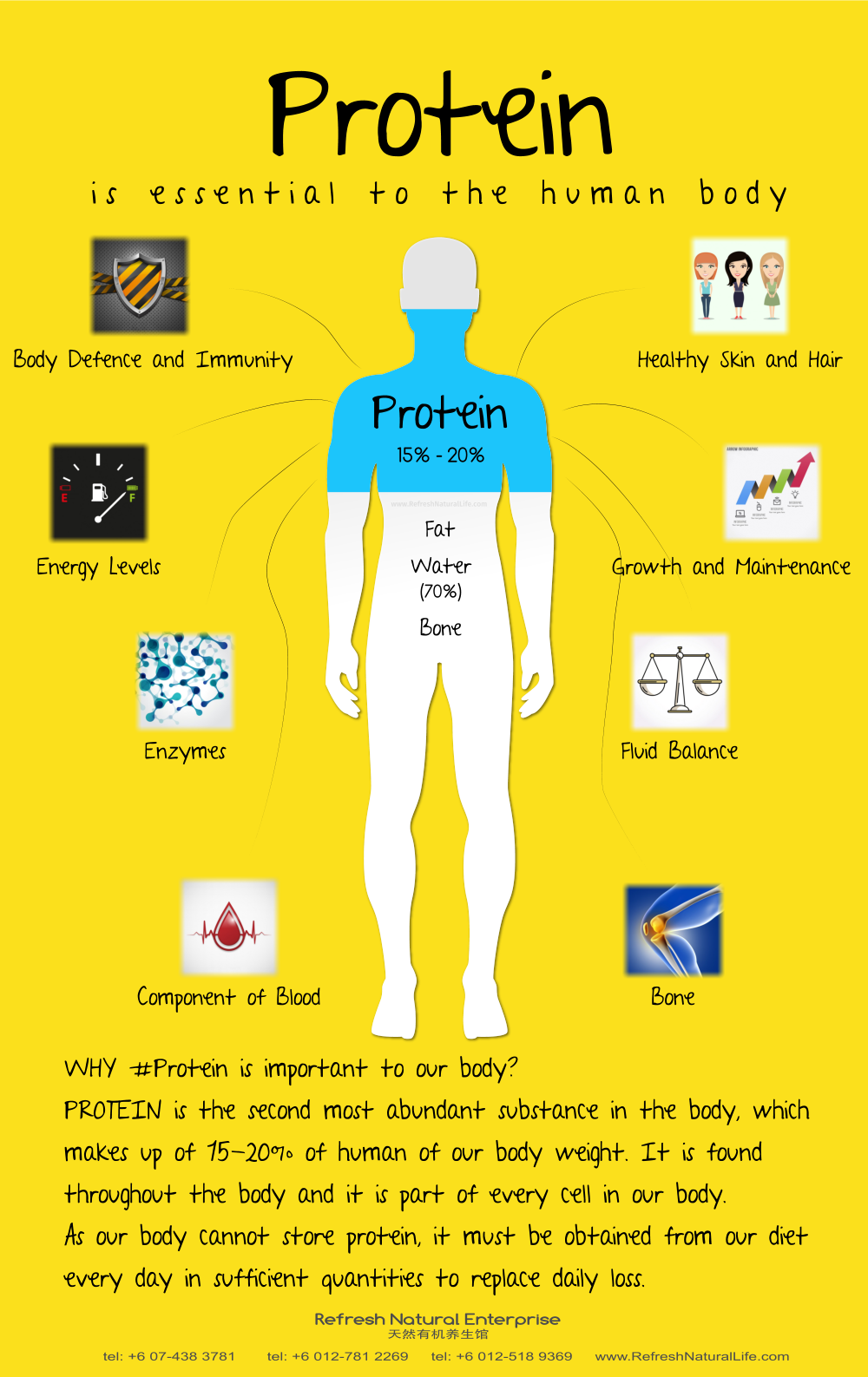 about-protein-johor-batu-pahat-organic-products-organice-cafe-food-meal-lunch-dinner-refresh-natural-%e5%85%b3%e4%ba%8e%e8%9b%8b%e7%99%bd%e8%b4%a8-%e6%9f%94%e4%bd%9b-%e5%b3%87%e6%a0%aa%e5%b7%b4