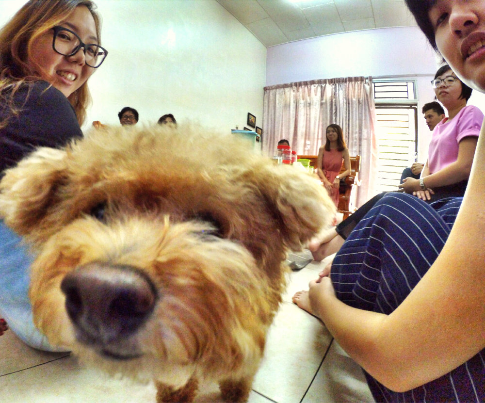 %e6%96%b0%e5%b9%b4%e5%bf%ab%e4%b9%90-family-chinese-new-year-family-reunion-gathering-%e5%ae%b6%e5%ba%ad%e5%86%9c%e5%8e%86%e5%b9%b4%e5%88%9d%e4%ba%8c%e5%9b%a2%e5%9c%86%e9%a5%ad-mosesdave-kang-lay-chen