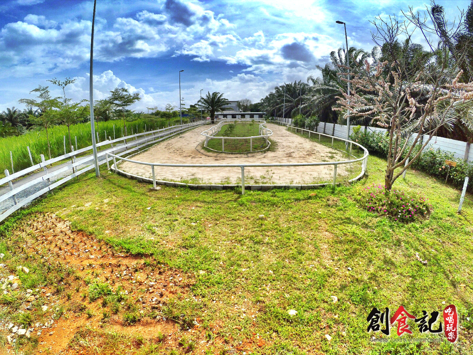 Sinar Eco Resort Pekan Nanas Johor Malaysia Family Gathering Camp Travel Adventure Tourist Attraction Farm Retreat Trip Raymond Ong Effye Ang Alfred Law Pinky Ning Estella Onn A29