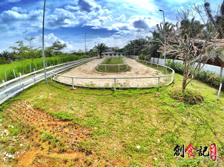 Sinar Eco Resort Pekan Nanas Johor Malaysia Family Gathering Camp Travel Adventure Tourist Attraction Farm Retreat Trip Raymond Ong Effye Ang Alfred Law Pinky Ning Estella Onn A29