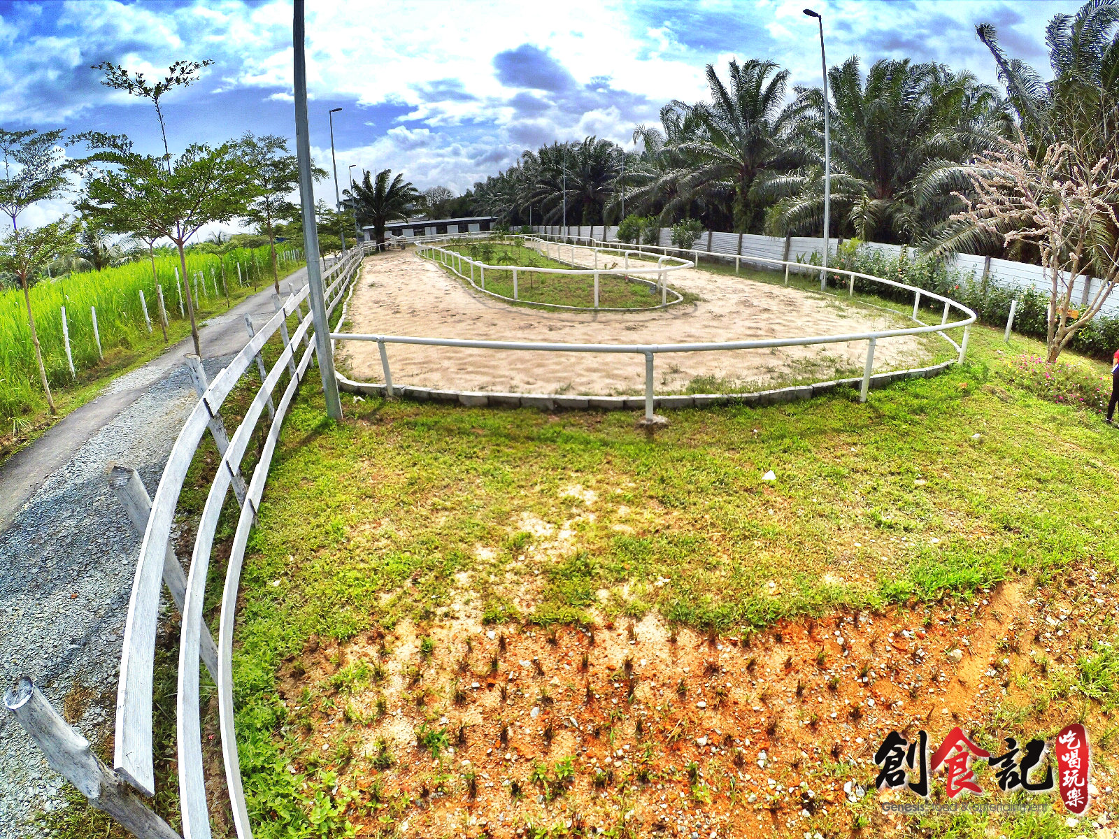 Sinar Eco Resort Pekan Nanas Johor Malaysia Family Gathering Camp Travel Adventure Tourist Attraction Farm Retreat Trip Raymond Ong Effye Ang Alfred Law Pinky Ning Estella Onn A30