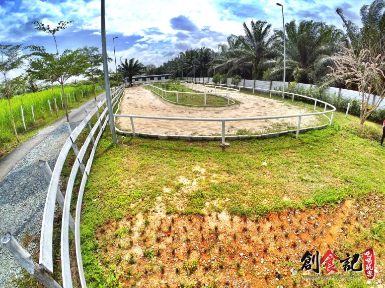 Sinar Eco Resort Pekan Nanas Johor Malaysia Family Gathering Camp Travel Adventure Tourist Attraction Farm Retreat Trip Raymond Ong Effye Ang Alfred Law Pinky Ning Estella Onn A30