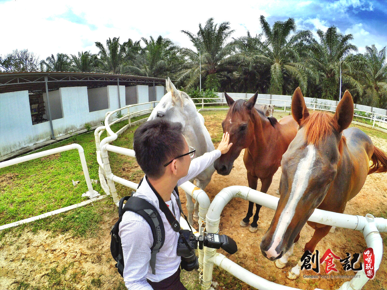 Sinar Eco Resort Pekan Nanas Johor Malaysia Family Gathering Camp Travel Adventure Tourist Attraction Farm Retreat Trip Raymond Ong Effye Ang Alfred Law Pinky Ning Estella Onn A35