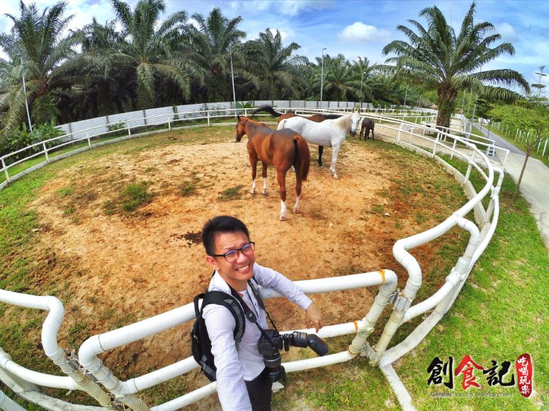 Sinar Eco Resort Pekan Nanas Johor Malaysia Family Gathering Camp Travel Adventure Tourist Attraction Farm Retreat Trip Raymond Ong Effye Ang Alfred Law Pinky Ning Estella Onn A37