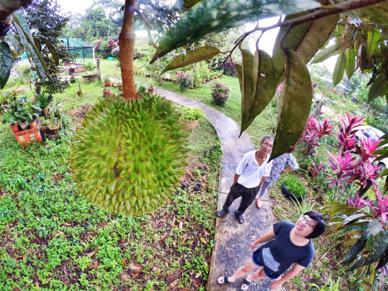 Kota Tinggi Tai Hong Johor Malaysia 52 Farm Wu Er Fan Steven Ling Jenny Lew Pinky Ning Effye Ang Raymond Ong Breakfast Oragnic Food Flower and Beautiful Garden Effye Media Online Adverti