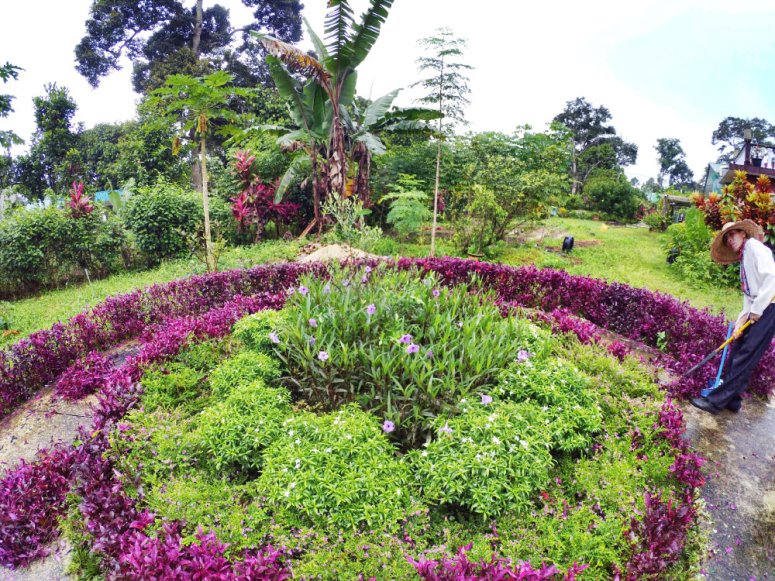 Kota Tinggi Tai Hong Johor Malaysia 52 Farm Wu Er Fan Steven Ling Jenny Lew Pinky Ning Effye Ang Raymond Ong Breakfast Oragnic Food Flower and Beautiful Garden Effye Media Online Adverti