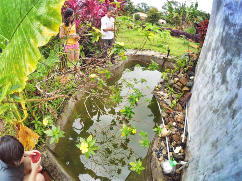 Kota Tinggi Tai Hong Johor Malaysia 52 Farm Wu Er Fan Steven Ling Jenny Lew Pinky Ning Effye Ang Raymond Ong Breakfast Oragnic Food Flower and Beautiful Garden Effye Media Online Adverti