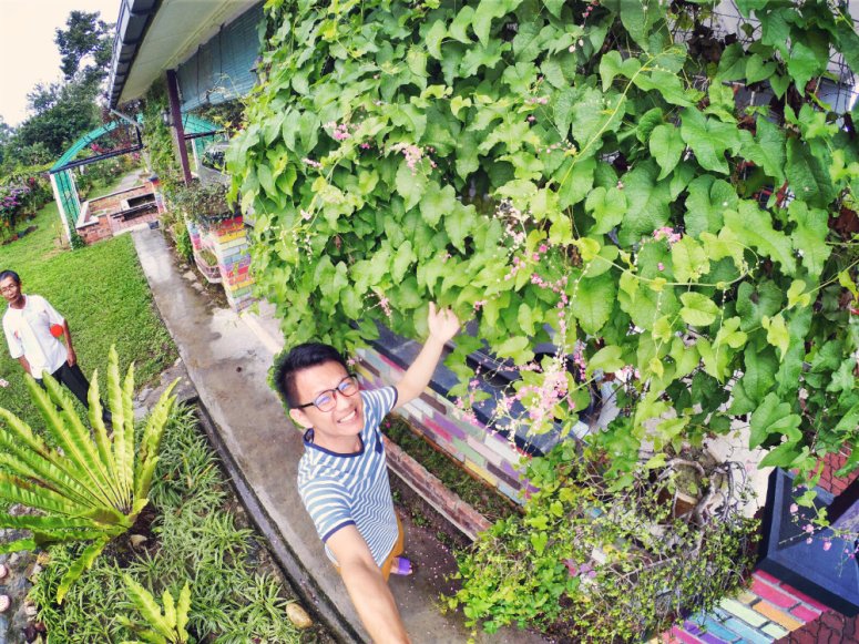 Kota Tinggi Tai Hong Johor Malaysia 52 Farm Wu Er Fan Steven Ling Jenny Lew Pinky Ning Effye Ang Raymond Ong Breakfast Oragnic Food Flower and Beautiful Garden Effye Media Online Adverti