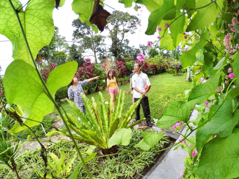 Kota Tinggi Tai Hong Johor Malaysia 52 Farm Wu Er Fan Steven Ling Jenny Lew Pinky Ning Effye Ang Raymond Ong Breakfast Oragnic Food Flower and Beautiful Garden Effye Media Online Adverti