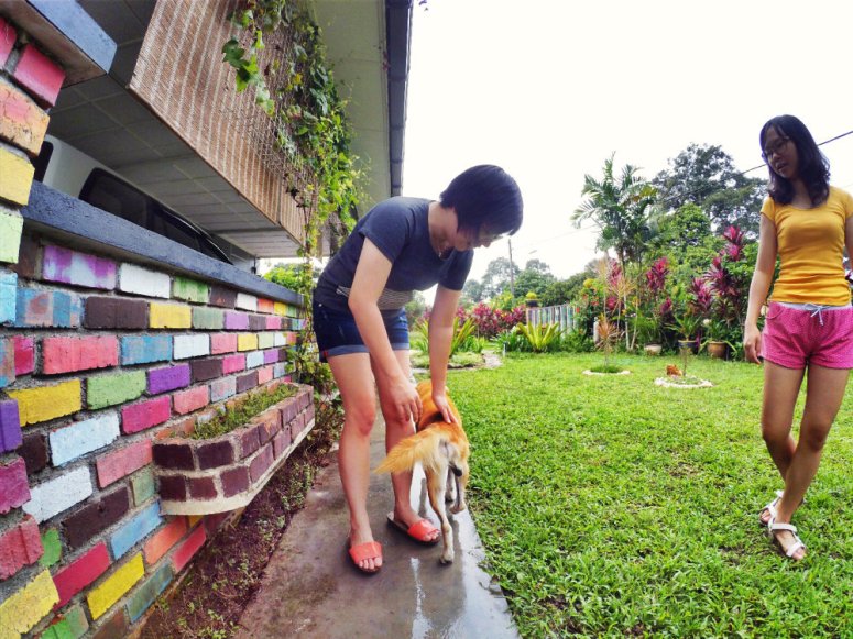 Kota Tinggi Tai Hong Johor Malaysia 52 Farm Wu Er Fan Steven Ling Jenny Lew Pinky Ning Effye Ang Raymond Ong Breakfast Oragnic Food Flower and Beautiful Garden Effye Media Online Adverti