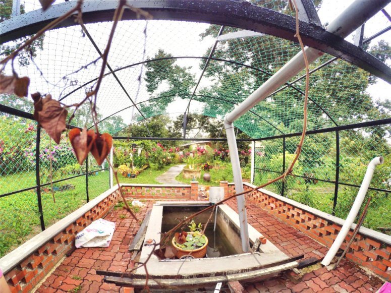 Kota Tinggi Tai Hong Johor Malaysia 52 Farm Wu Er Fan Steven Ling Jenny Lew Pinky Ning Effye Ang Raymond Ong Breakfast Oragnic Food Flower and Beautiful Garden Effye Media Online Adverti