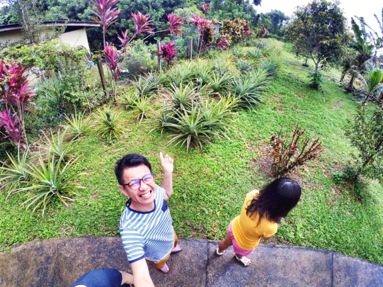 Kota Tinggi Tai Hong Johor Malaysia 52 Farm Wu Er Fan Steven Ling Jenny Lew Pinky Ning Effye Ang Raymond Ong Breakfast Oragnic Food Flower and Beautiful Garden Effye Media Online Adverti