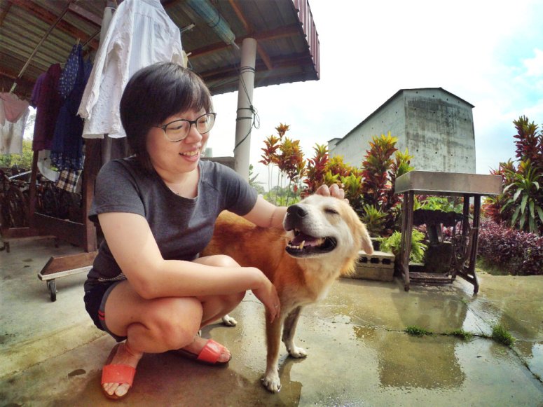 Kota Tinggi Tai Hong Johor Malaysia 52 Farm Wu Er Fan Steven Ling Jenny Lew Pinky Ning Effye Ang Raymond Ong Breakfast Oragnic Food Flower and Beautiful Garden Effye Media Online Adverti