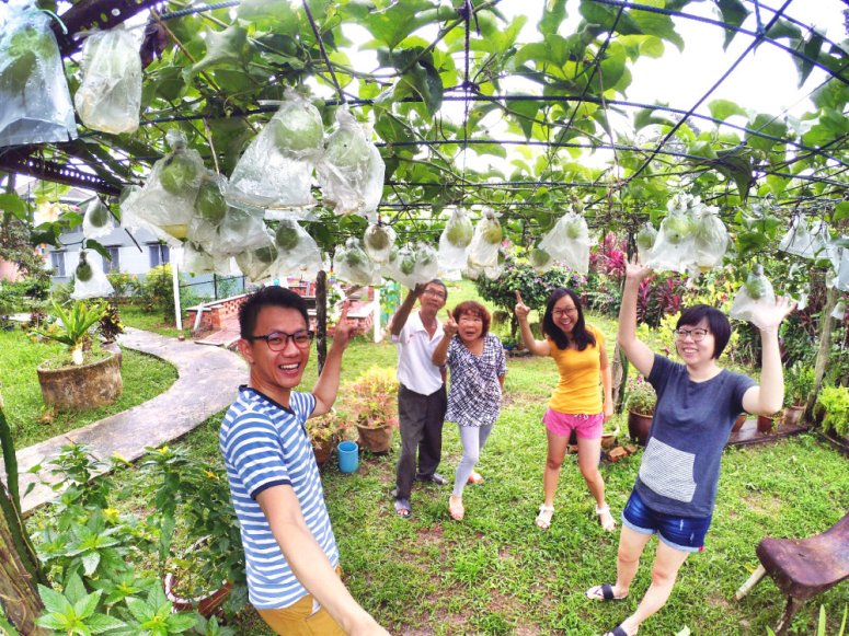 Kota Tinggi Tai Hong Johor Malaysia 52 Farm Wu Er Fan Steven Ling Jenny Lew Pinky Ning Effye Ang Raymond Ong Breakfast Oragnic Food Flower and Beautiful Garden Effye Media Online Adverti