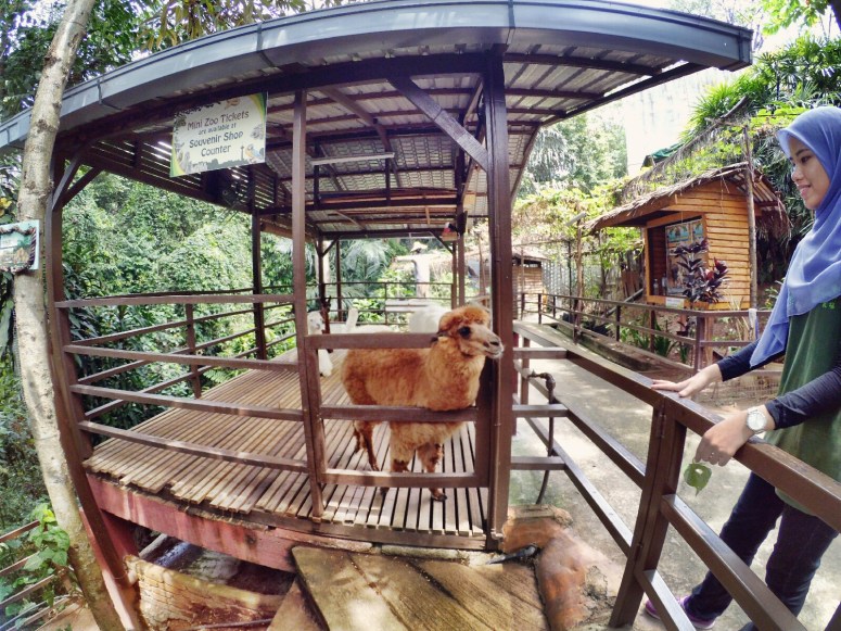 KL Tower Kuala Lumpur Malaysia Selangor Mini Zoo Raymond Ong Effye Anf Ho Koon Kiang Bella Phei Effye Media A03