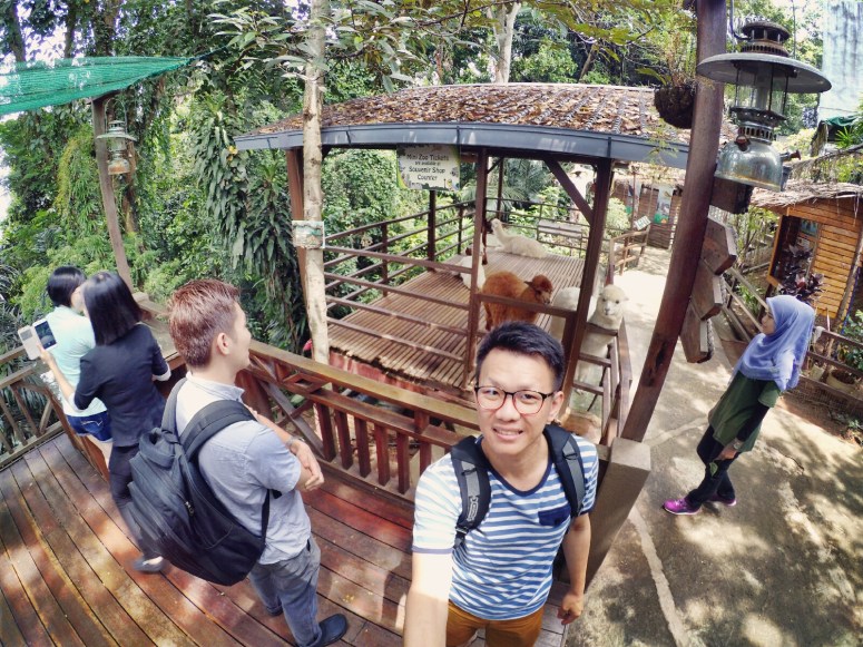 KL Tower Kuala Lumpur Malaysia Selangor Mini Zoo Raymond Ong Effye Anf Ho Koon Kiang Bella Phei Effye Media A05