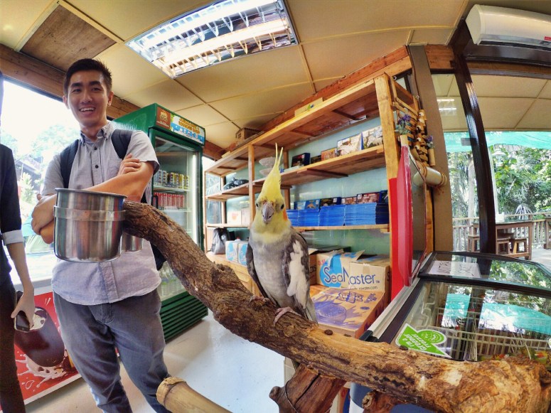 KL Tower Kuala Lumpur Malaysia Selangor Mini Zoo Raymond Ong Effye Anf Ho Koon Kiang Bella Phei Effye Media A10