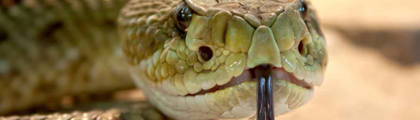 罪恶的存在是需要的。这样给义人考验、给圣人试炼，我们的灵性就有可能去到更坚固的地步！ 如果完全没有邪恶的存在，我们就过一个完全不警醒、傲慢、把荣耀归给自己，成为羞辱上帝的人。 上帝许可邪恶存在，不是因为祂没有能力，而是因为祂有更美好的旨意。